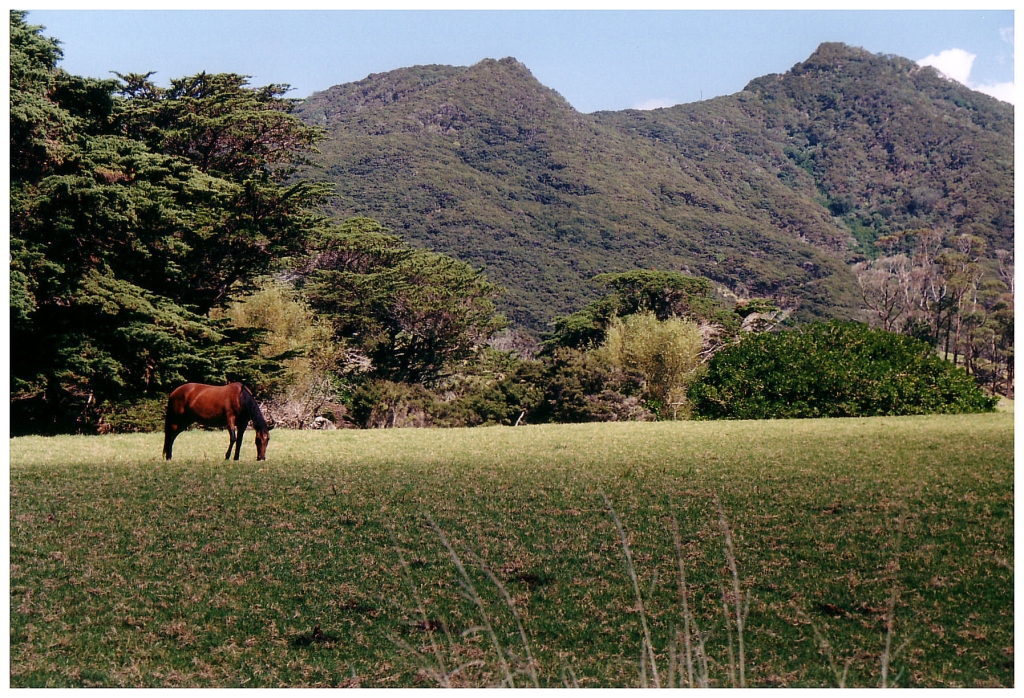06 - New-Zealand (0).jpg